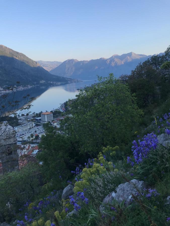 Romantic Rooftop View Hideaway- Old Town Nr 404 Kotor Exterior foto